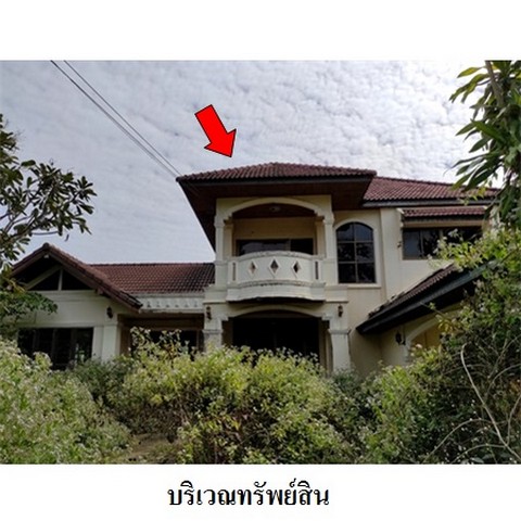 ประกาศฟรี! ซื้อ-ขาย-เช่า คอนโด บ้าน ทาวน์โฮม ที่ดิน และพื้นที่เชิงพาณิชย์ทั่วประเทศไทย ทุกทำเล ทุกงบประมาณ ไม่มีค่าใช้จ่าย ลงง่าย ขายไว เข้าถึงผู้ซื้อโดยตรง 3 238207pic2.jpg