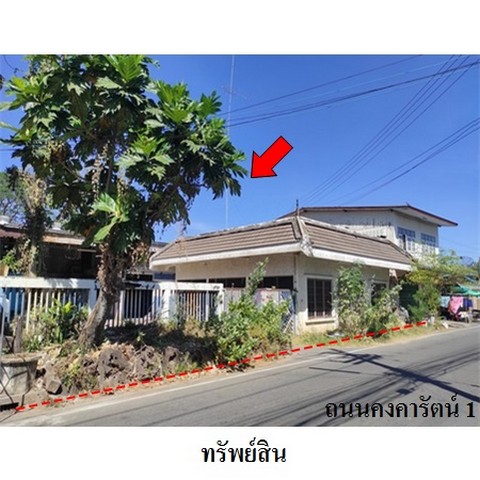 ประกาศฟรี! ซื้อ-ขาย-เช่า คอนโด บ้าน ทาวน์โฮม ที่ดิน และพื้นที่เชิงพาณิชย์ทั่วประเทศไทย ทุกทำเล ทุกงบประมาณ ไม่มีค่าใช้จ่าย ลงง่าย ขายไว เข้าถึงผู้ซื้อโดยตรง 2 238203pic1.jpg