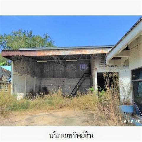 ประกาศฟรี! ซื้อ-ขาย-เช่า คอนโด บ้าน ทาวน์โฮม ที่ดิน และพื้นที่เชิงพาณิชย์ทั่วประเทศไทย ทุกทำเล ทุกงบประมาณ ไม่มีค่าใช้จ่าย ลงง่าย ขายไว เข้าถึงผู้ซื้อโดยตรง 3 238203pic2.jpg