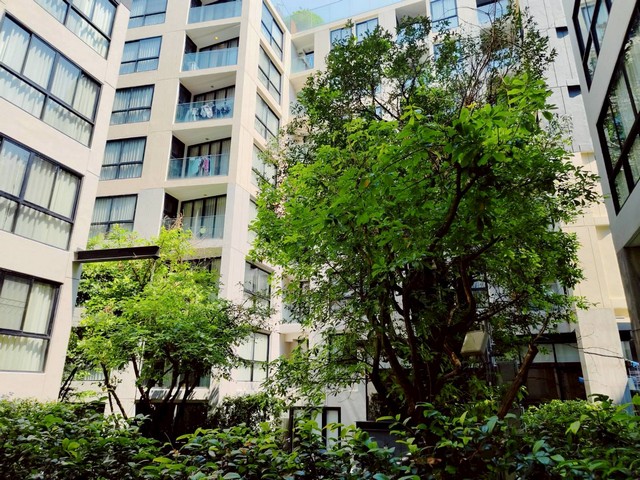 ประกาศฟรี! ซื้อ-ขาย-เช่า คอนโด บ้าน ทาวน์โฮม ที่ดิน และพื้นที่เชิงพาณิชย์ทั่วประเทศไทย ทุกทำเล ทุกงบประมาณ ไม่มีค่าใช้จ่าย ลงง่าย ขายไว เข้าถึงผู้ซื้อโดยตรง 3 252301pic2.jpg