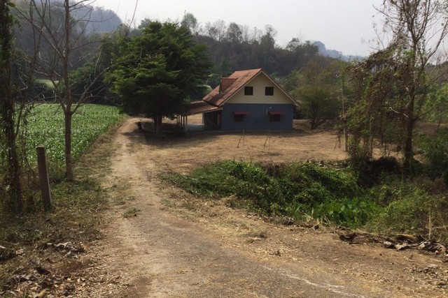 ประกาศฟรี! ซื้อ-ขาย-เช่า คอนโด บ้าน ทาวน์โฮม ที่ดิน และพื้นที่เชิงพาณิชย์ทั่วประเทศไทย ทุกทำเล ทุกงบประมาณ ไม่มีค่าใช้จ่าย ลงง่าย ขายไว เข้าถึงผู้ซื้อโดยตรง 3 251946pic2.jpg