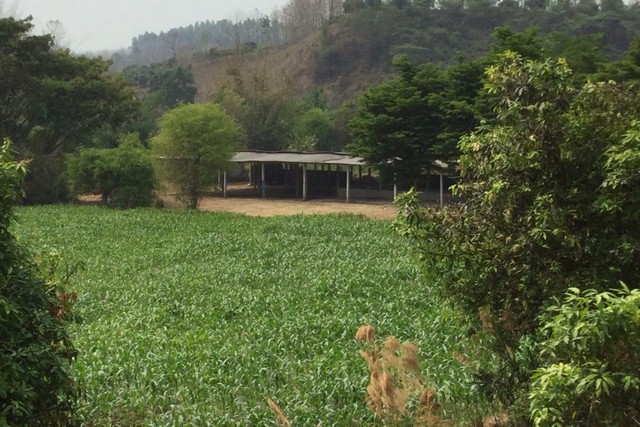 ประกาศฟรี! ซื้อ-ขาย-เช่า คอนโด บ้าน ทาวน์โฮม ที่ดิน และพื้นที่เชิงพาณิชย์ทั่วประเทศไทย ทุกทำเล ทุกงบประมาณ ไม่มีค่าใช้จ่าย ลงง่าย ขายไว เข้าถึงผู้ซื้อโดยตรง 4 251946pic3.jpg