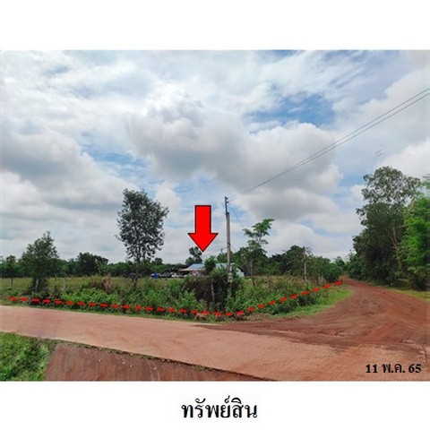 ประกาศฟรี! ซื้อ-ขาย-เช่า คอนโด บ้าน ทาวน์โฮม ที่ดิน และพื้นที่เชิงพาณิชย์ทั่วประเทศไทย ทุกทำเล ทุกงบประมาณ ไม่มีค่าใช้จ่าย ลงง่าย ขายไว เข้าถึงผู้ซื้อโดยตรง 2 239150pic1.jpg