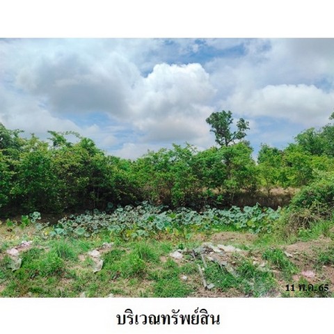 ประกาศฟรี! ซื้อ-ขาย-เช่า คอนโด บ้าน ทาวน์โฮม ที่ดิน และพื้นที่เชิงพาณิชย์ทั่วประเทศไทย ทุกทำเล ทุกงบประมาณ ไม่มีค่าใช้จ่าย ลงง่าย ขายไว เข้าถึงผู้ซื้อโดยตรง 5 239150pic4.jpg