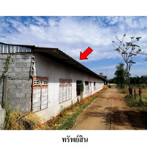 ประกาศฟรี! ซื้อ-ขาย-เช่า คอนโด บ้าน ทาวน์โฮม ที่ดิน และพื้นที่เชิงพาณิชย์ทั่วประเทศไทย ทุกทำเล ทุกงบประมาณ ไม่มีค่าใช้จ่าย ลงง่าย ขายไว เข้าถึงผู้ซื้อโดยตรง 3 239134pic2.jpg