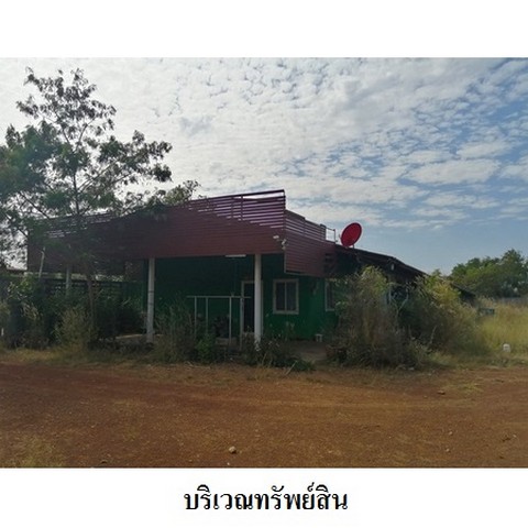 ประกาศฟรี! ซื้อ-ขาย-เช่า คอนโด บ้าน ทาวน์โฮม ที่ดิน และพื้นที่เชิงพาณิชย์ทั่วประเทศไทย ทุกทำเล ทุกงบประมาณ ไม่มีค่าใช้จ่าย ลงง่าย ขายไว เข้าถึงผู้ซื้อโดยตรง 5 239134pic4.jpg