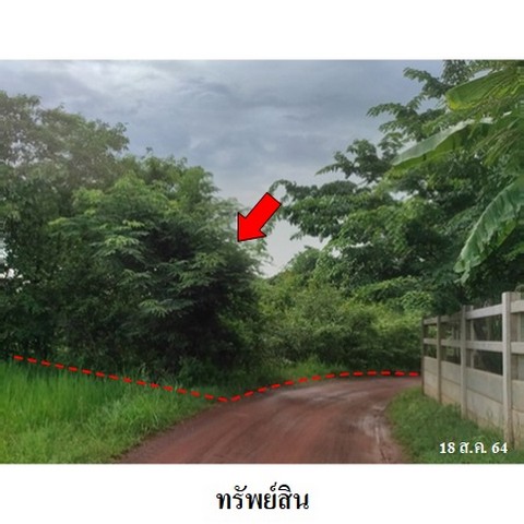 ประกาศฟรี! ซื้อ-ขาย-เช่า คอนโด บ้าน ทาวน์โฮม ที่ดิน และพื้นที่เชิงพาณิชย์ทั่วประเทศไทย ทุกทำเล ทุกงบประมาณ ไม่มีค่าใช้จ่าย ลงง่าย ขายไว เข้าถึงผู้ซื้อโดยตรง 3 238296pic2.jpg