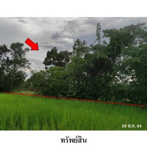 ประกาศฟรี! ซื้อ-ขาย-เช่า คอนโด บ้าน ทาวน์โฮม ที่ดิน และพื้นที่เชิงพาณิชย์ทั่วประเทศไทย ทุกทำเล ทุกงบประมาณ ไม่มีค่าใช้จ่าย ลงง่าย ขายไว เข้าถึงผู้ซื้อโดยตรง 4 238296pic3.jpg