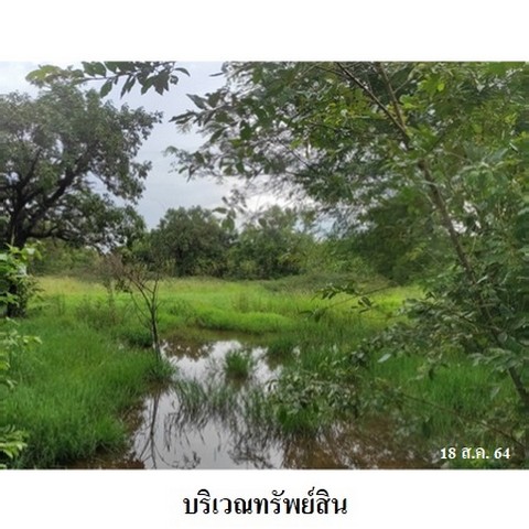 ประกาศฟรี! ซื้อ-ขาย-เช่า คอนโด บ้าน ทาวน์โฮม ที่ดิน และพื้นที่เชิงพาณิชย์ทั่วประเทศไทย ทุกทำเล ทุกงบประมาณ ไม่มีค่าใช้จ่าย ลงง่าย ขายไว เข้าถึงผู้ซื้อโดยตรง 5 238296pic4.jpg