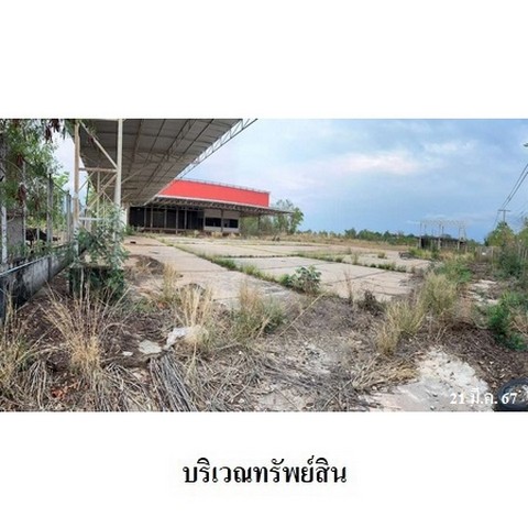 ประกาศฟรี! ซื้อ-ขาย-เช่า คอนโด บ้าน ทาวน์โฮม ที่ดิน และพื้นที่เชิงพาณิชย์ทั่วประเทศไทย ทุกทำเล ทุกงบประมาณ ไม่มีค่าใช้จ่าย ลงง่าย ขายไว เข้าถึงผู้ซื้อโดยตรง 4 238293pic3.jpg