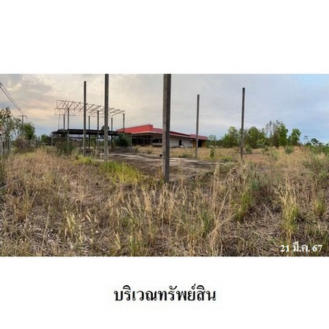 ประกาศฟรี! ซื้อ-ขาย-เช่า คอนโด บ้าน ทาวน์โฮม ที่ดิน และพื้นที่เชิงพาณิชย์ทั่วประเทศไทย ทุกทำเล ทุกงบประมาณ ไม่มีค่าใช้จ่าย ลงง่าย ขายไว เข้าถึงผู้ซื้อโดยตรง 5 238293pic4.jpg