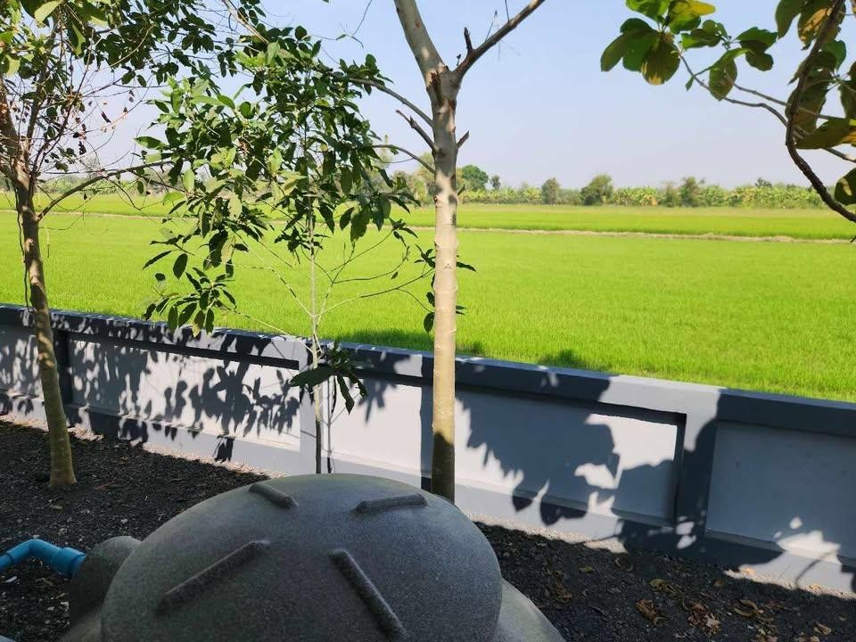 ประกาศฟรี! ซื้อ-ขาย-เช่า คอนโด บ้าน ทาวน์โฮม ที่ดิน และพื้นที่เชิงพาณิชย์ทั่วประเทศไทย ทุกทำเล ทุกงบประมาณ ไม่มีค่าใช้จ่าย ลงง่าย ขายไว เข้าถึงผู้ซื้อโดยตรง 5 315154pic4.jpg