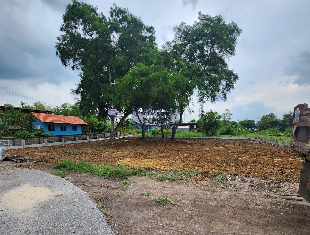 ประกาศฟรี! ซื้อ-ขาย-เช่า คอนโด บ้าน ทาวน์โฮม ที่ดิน และพื้นที่เชิงพาณิชย์ทั่วประเทศไทย ทุกทำเล ทุกงบประมาณ ไม่มีค่าใช้จ่าย ลงง่าย ขายไว เข้าถึงผู้ซื้อโดยตรง 3 315147pic2.jpg