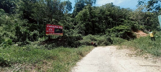 ประกาศฟรี! ซื้อ-ขาย-เช่า คอนโด บ้าน ทาวน์โฮม ที่ดิน และพื้นที่เชิงพาณิชย์ทั่วประเทศไทย ทุกทำเล ทุกงบประมาณ ไม่มีค่าใช้จ่าย ลงง่าย ขายไว เข้าถึงผู้ซื้อโดยตรง 2 315173pic1.jpg