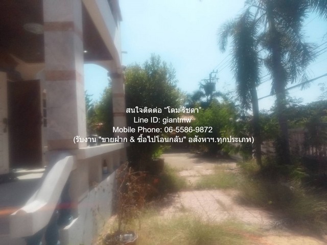 ประกาศฟรี! ซื้อ-ขาย-เช่า คอนโด บ้าน ทาวน์โฮม ที่ดิน และพื้นที่เชิงพาณิชย์ทั่วประเทศไทย ทุกทำเล ทุกงบประมาณ ไม่มีค่าใช้จ่าย ลงง่าย ขายไว เข้าถึงผู้ซื้อโดยตรง 3 313136pic2.jpg