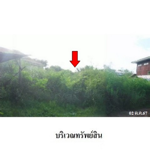 ประกาศฟรี! ซื้อ-ขาย-เช่า คอนโด บ้าน ทาวน์โฮม ที่ดิน และพื้นที่เชิงพาณิชย์ทั่วประเทศไทย ทุกทำเล ทุกงบประมาณ ไม่มีค่าใช้จ่าย ลงง่าย ขายไว เข้าถึงผู้ซื้อโดยตรง 2 239180pic1.jpg