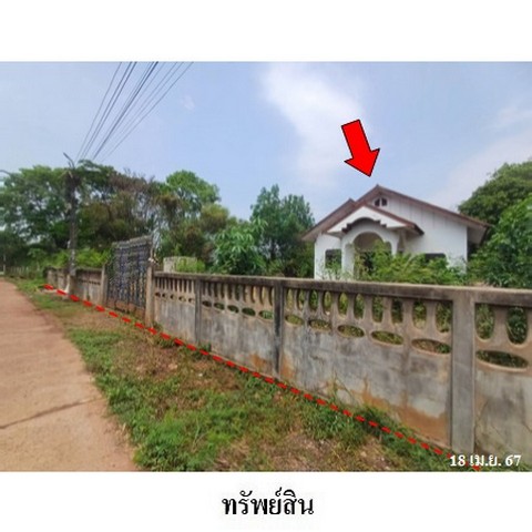 ประกาศฟรี! ซื้อ-ขาย-เช่า คอนโด บ้าน ทาวน์โฮม ที่ดิน และพื้นที่เชิงพาณิชย์ทั่วประเทศไทย ทุกทำเล ทุกงบประมาณ ไม่มีค่าใช้จ่าย ลงง่าย ขายไว เข้าถึงผู้ซื้อโดยตรง 2 239178pic1.jpg