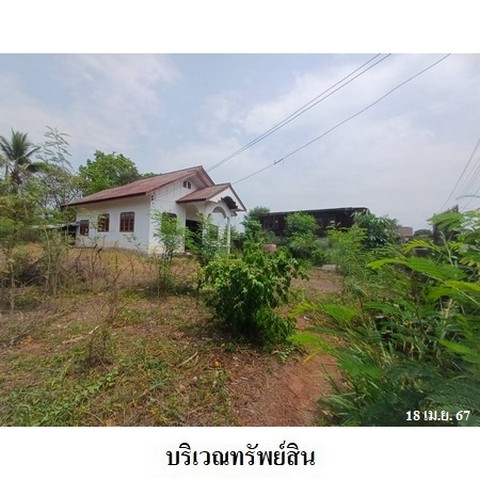 ประกาศฟรี! ซื้อ-ขาย-เช่า คอนโด บ้าน ทาวน์โฮม ที่ดิน และพื้นที่เชิงพาณิชย์ทั่วประเทศไทย ทุกทำเล ทุกงบประมาณ ไม่มีค่าใช้จ่าย ลงง่าย ขายไว เข้าถึงผู้ซื้อโดยตรง 3 239178pic2.jpg