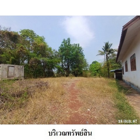 ประกาศฟรี! ซื้อ-ขาย-เช่า คอนโด บ้าน ทาวน์โฮม ที่ดิน และพื้นที่เชิงพาณิชย์ทั่วประเทศไทย ทุกทำเล ทุกงบประมาณ ไม่มีค่าใช้จ่าย ลงง่าย ขายไว เข้าถึงผู้ซื้อโดยตรง 5 239178pic4.jpg