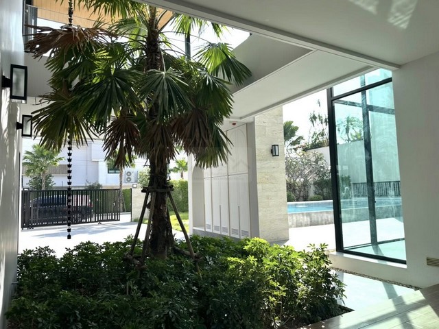 ประกาศฟรี! ซื้อ-ขาย-เช่า คอนโด บ้าน ทาวน์โฮม ที่ดิน และพื้นที่เชิงพาณิชย์ทั่วประเทศไทย ทุกทำเล ทุกงบประมาณ ไม่มีค่าใช้จ่าย ลงง่าย ขายไว เข้าถึงผู้ซื้อโดยตรง 3 506815pic2.jpg