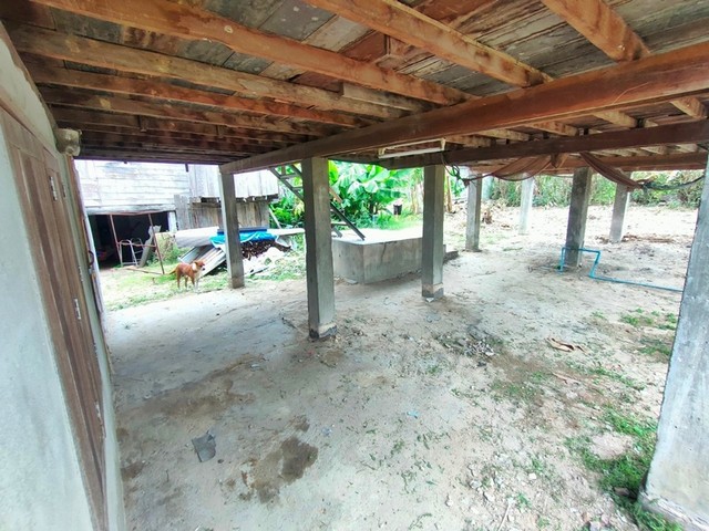 ประกาศฟรี! ซื้อ-ขาย-เช่า คอนโด บ้าน ทาวน์โฮม ที่ดิน และพื้นที่เชิงพาณิชย์ทั่วประเทศไทย ทุกทำเล ทุกงบประมาณ ไม่มีค่าใช้จ่าย ลงง่าย ขายไว เข้าถึงผู้ซื้อโดยตรง 3 252304pic2.jpg