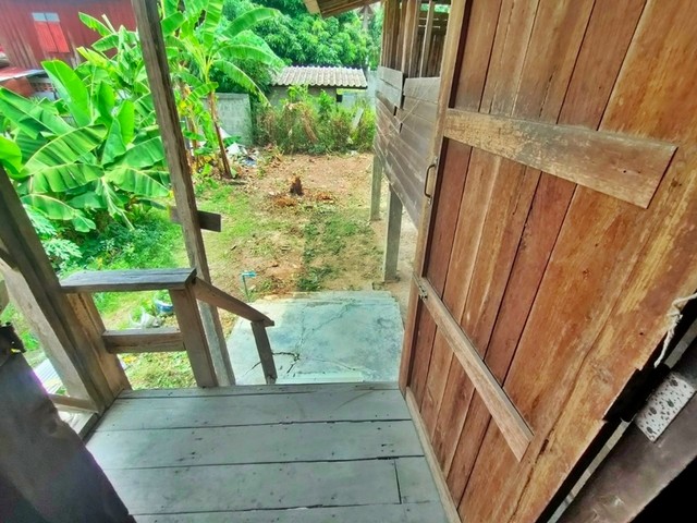 ประกาศฟรี! ซื้อ-ขาย-เช่า คอนโด บ้าน ทาวน์โฮม ที่ดิน และพื้นที่เชิงพาณิชย์ทั่วประเทศไทย ทุกทำเล ทุกงบประมาณ ไม่มีค่าใช้จ่าย ลงง่าย ขายไว เข้าถึงผู้ซื้อโดยตรง 4 252304pic3.jpg