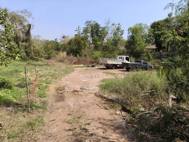 ประกาศฟรี! ซื้อ-ขาย-เช่า คอนโด บ้าน ทาวน์โฮม ที่ดิน และพื้นที่เชิงพาณิชย์ทั่วประเทศไทย ทุกทำเล ทุกงบประมาณ ไม่มีค่าใช้จ่าย ลงง่าย ขายไว เข้าถึงผู้ซื้อโดยตรง 4 252977pic3.jpg