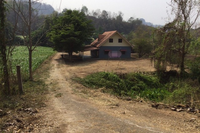 ประกาศฟรี! ซื้อ-ขาย-เช่า คอนโด บ้าน ทาวน์โฮม ที่ดิน และพื้นที่เชิงพาณิชย์ทั่วประเทศไทย ทุกทำเล ทุกงบประมาณ ไม่มีค่าใช้จ่าย ลงง่าย ขายไว เข้าถึงผู้ซื้อโดยตรง 3 252288pic2.jpg