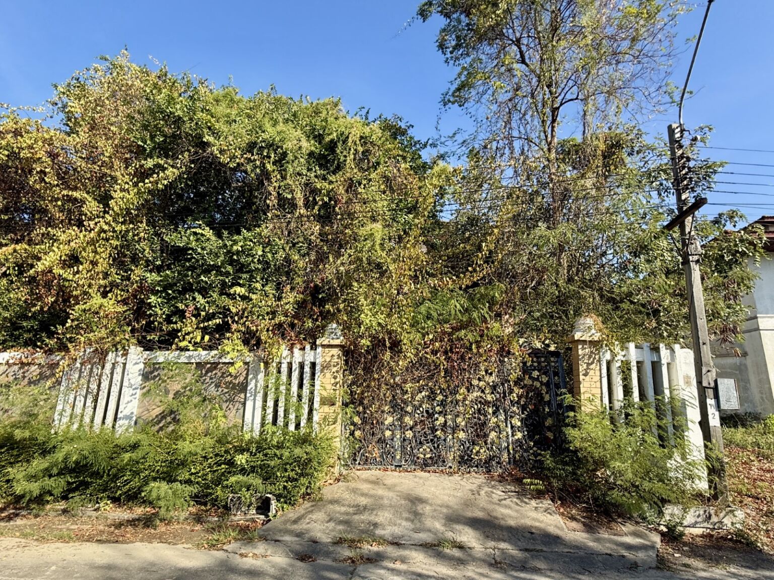 ประกาศฟรี! ซื้อ-ขาย-เช่า คอนโด บ้าน ทาวน์โฮม ที่ดิน และพื้นที่เชิงพาณิชย์ทั่วประเทศไทย ทุกทำเล ทุกงบประมาณ ไม่มีค่าใช้จ่าย ลงง่าย ขายไว เข้าถึงผู้ซื้อโดยตรง 2 315298pic1.jpg