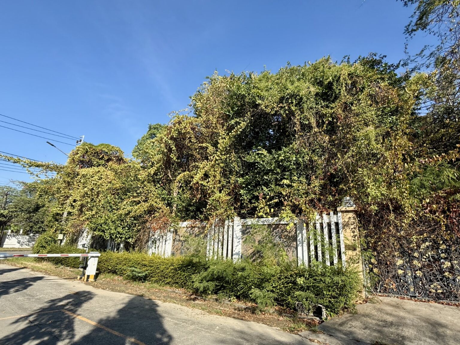 ประกาศฟรี! ซื้อ-ขาย-เช่า คอนโด บ้าน ทาวน์โฮม ที่ดิน และพื้นที่เชิงพาณิชย์ทั่วประเทศไทย ทุกทำเล ทุกงบประมาณ ไม่มีค่าใช้จ่าย ลงง่าย ขายไว เข้าถึงผู้ซื้อโดยตรง 3 315298pic2.jpg