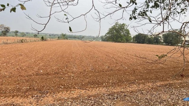 ประกาศฟรี! ซื้อ-ขาย-เช่า คอนโด บ้าน ทาวน์โฮม ที่ดิน และพื้นที่เชิงพาณิชย์ทั่วประเทศไทย ทุกทำเล ทุกงบประมาณ ไม่มีค่าใช้จ่าย ลงง่าย ขายไว เข้าถึงผู้ซื้อโดยตรง 3 315296pic2.jpg