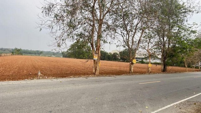 ประกาศฟรี! ซื้อ-ขาย-เช่า คอนโด บ้าน ทาวน์โฮม ที่ดิน และพื้นที่เชิงพาณิชย์ทั่วประเทศไทย ทุกทำเล ทุกงบประมาณ ไม่มีค่าใช้จ่าย ลงง่าย ขายไว เข้าถึงผู้ซื้อโดยตรง 4 315296pic3.jpg