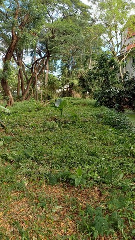 ประกาศฟรี! ซื้อ-ขาย-เช่า คอนโด บ้าน ทาวน์โฮม ที่ดิน และพื้นที่เชิงพาณิชย์ทั่วประเทศไทย ทุกทำเล ทุกงบประมาณ ไม่มีค่าใช้จ่าย ลงง่าย ขายไว เข้าถึงผู้ซื้อโดยตรง 3 253043pic2.jpg