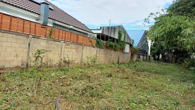 ประกาศฟรี! ซื้อ-ขาย-เช่า คอนโด บ้าน ทาวน์โฮม ที่ดิน และพื้นที่เชิงพาณิชย์ทั่วประเทศไทย ทุกทำเล ทุกงบประมาณ ไม่มีค่าใช้จ่าย ลงง่าย ขายไว เข้าถึงผู้ซื้อโดยตรง 4 253043pic3.jpg