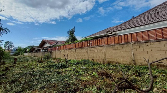 ประกาศฟรี! ซื้อ-ขาย-เช่า คอนโด บ้าน ทาวน์โฮม ที่ดิน และพื้นที่เชิงพาณิชย์ทั่วประเทศไทย ทุกทำเล ทุกงบประมาณ ไม่มีค่าใช้จ่าย ลงง่าย ขายไว เข้าถึงผู้ซื้อโดยตรง 5 253043pic4.jpg