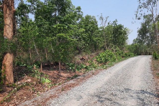 ประกาศฟรี! ซื้อ-ขาย-เช่า คอนโด บ้าน ทาวน์โฮม ที่ดิน และพื้นที่เชิงพาณิชย์ทั่วประเทศไทย ทุกทำเล ทุกงบประมาณ ไม่มีค่าใช้จ่าย ลงง่าย ขายไว เข้าถึงผู้ซื้อโดยตรง 3 252224pic2.jpg