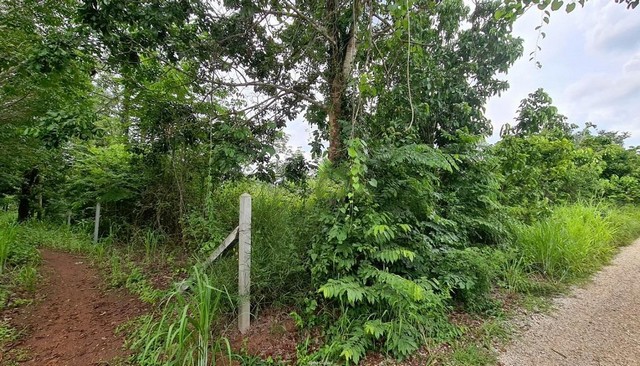 ประกาศฟรี! ซื้อ-ขาย-เช่า คอนโด บ้าน ทาวน์โฮม ที่ดิน และพื้นที่เชิงพาณิชย์ทั่วประเทศไทย ทุกทำเล ทุกงบประมาณ ไม่มีค่าใช้จ่าย ลงง่าย ขายไว เข้าถึงผู้ซื้อโดยตรง 4 252224pic3.jpg