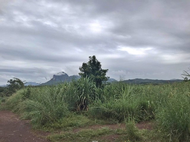 ประกาศฟรี! ซื้อ-ขาย-เช่า คอนโด บ้าน ทาวน์โฮม ที่ดิน และพื้นที่เชิงพาณิชย์ทั่วประเทศไทย ทุกทำเล ทุกงบประมาณ ไม่มีค่าใช้จ่าย ลงง่าย ขายไว เข้าถึงผู้ซื้อโดยตรง 5 252224pic4.jpg