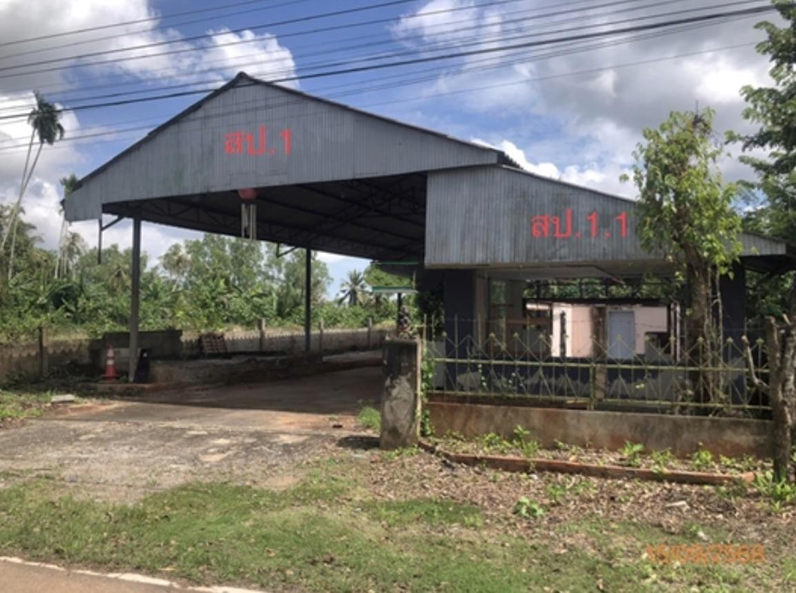 ประกาศฟรี! ซื้อ-ขาย-เช่า คอนโด บ้าน ทาวน์โฮม ที่ดิน และพื้นที่เชิงพาณิชย์ทั่วประเทศไทย ทุกทำเล ทุกงบประมาณ ไม่มีค่าใช้จ่าย ลงง่าย ขายไว เข้าถึงผู้ซื้อโดยตรง 3 253003pic2.jpg