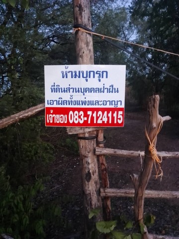 ประกาศฟรี! ซื้อ-ขาย-เช่า คอนโด บ้าน ทาวน์โฮม ที่ดิน และพื้นที่เชิงพาณิชย์ทั่วประเทศไทย ทุกทำเล ทุกงบประมาณ ไม่มีค่าใช้จ่าย ลงง่าย ขายไว เข้าถึงผู้ซื้อโดยตรง 2 7382pic1.jpg