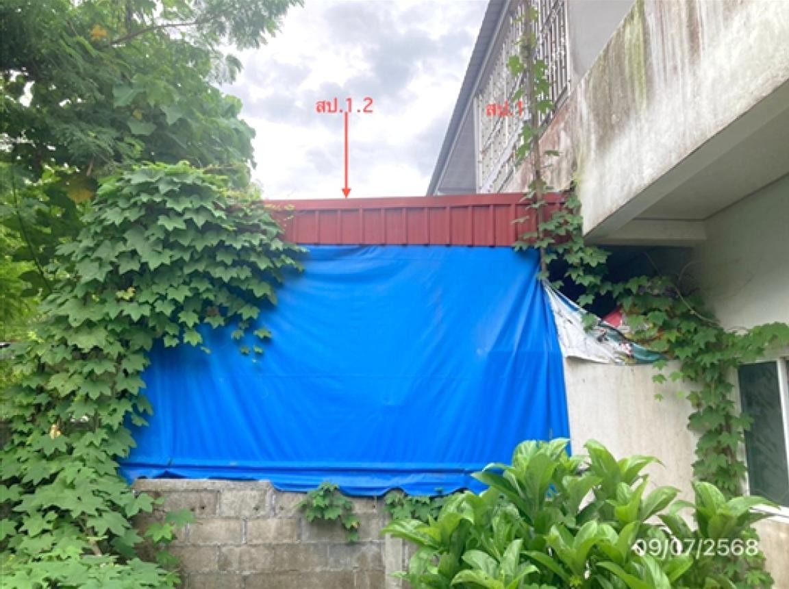 ประกาศฟรี! ซื้อ-ขาย-เช่า คอนโด บ้าน ทาวน์โฮม ที่ดิน และพื้นที่เชิงพาณิชย์ทั่วประเทศไทย ทุกทำเล ทุกงบประมาณ ไม่มีค่าใช้จ่าย ลงง่าย ขายไว เข้าถึงผู้ซื้อโดยตรง 3 253021pic2.jpg