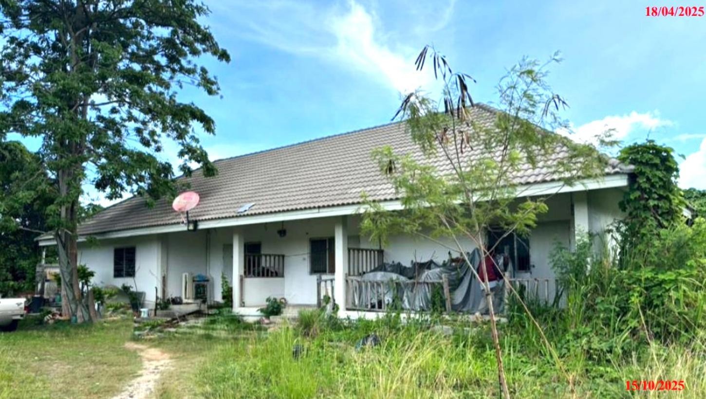 ประกาศฟรี! ซื้อ-ขาย-เช่า คอนโด บ้าน ทาวน์โฮม ที่ดิน และพื้นที่เชิงพาณิชย์ทั่วประเทศไทย ทุกทำเล ทุกงบประมาณ ไม่มีค่าใช้จ่าย ลงง่าย ขายไว เข้าถึงผู้ซื้อโดยตรง 3 253009pic2.jpg