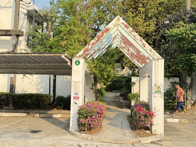 ประกาศฟรี! ซื้อ-ขาย-เช่า คอนโด บ้าน ทาวน์โฮม ที่ดิน และพื้นที่เชิงพาณิชย์ทั่วประเทศไทย ทุกทำเล ทุกงบประมาณ ไม่มีค่าใช้จ่าย ลงง่าย ขายไว เข้าถึงผู้ซื้อโดยตรง 3 253135pic2.jpg