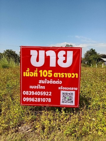 ประกาศฟรี! ซื้อ-ขาย-เช่า คอนโด บ้าน ทาวน์โฮม ที่ดิน และพื้นที่เชิงพาณิชย์ทั่วประเทศไทย ทุกทำเล ทุกงบประมาณ ไม่มีค่าใช้จ่าย ลงง่าย ขายไว เข้าถึงผู้ซื้อโดยตรง 2 253156pic1.jpg