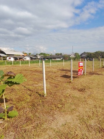 ประกาศฟรี! ซื้อ-ขาย-เช่า คอนโด บ้าน ทาวน์โฮม ที่ดิน และพื้นที่เชิงพาณิชย์ทั่วประเทศไทย ทุกทำเล ทุกงบประมาณ ไม่มีค่าใช้จ่าย ลงง่าย ขายไว เข้าถึงผู้ซื้อโดยตรง 3 253156pic2.jpg