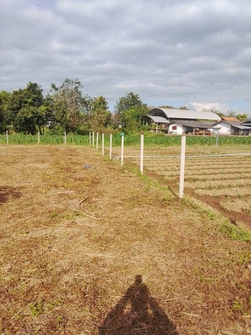 ประกาศฟรี! ซื้อ-ขาย-เช่า คอนโด บ้าน ทาวน์โฮม ที่ดิน และพื้นที่เชิงพาณิชย์ทั่วประเทศไทย ทุกทำเล ทุกงบประมาณ ไม่มีค่าใช้จ่าย ลงง่าย ขายไว เข้าถึงผู้ซื้อโดยตรง 5 253156pic4.jpg