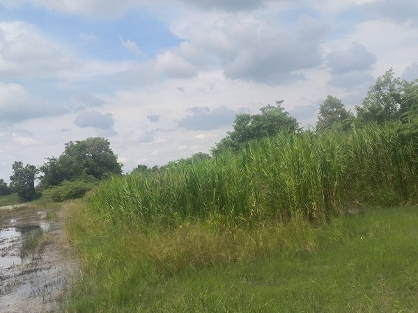 ประกาศฟรี! ซื้อ-ขาย-เช่า คอนโด บ้าน ทาวน์โฮม ที่ดิน และพื้นที่เชิงพาณิชย์ทั่วประเทศไทย ทุกทำเล ทุกงบประมาณ ไม่มีค่าใช้จ่าย ลงง่าย ขายไว เข้าถึงผู้ซื้อโดยตรง 3 514480pic2.jpg