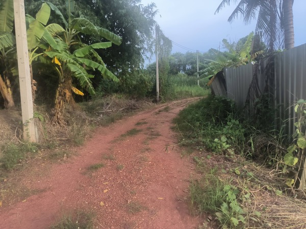 ประกาศฟรี! ซื้อ-ขาย-เช่า คอนโด บ้าน ทาวน์โฮม ที่ดิน และพื้นที่เชิงพาณิชย์ทั่วประเทศไทย ทุกทำเล ทุกงบประมาณ ไม่มีค่าใช้จ่าย ลงง่าย ขายไว เข้าถึงผู้ซื้อโดยตรง 4 514480pic3.jpg