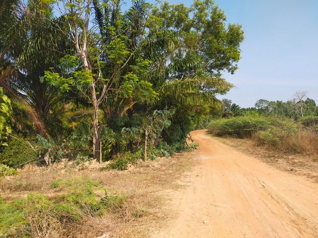 ประกาศฟรี! ซื้อ-ขาย-เช่า คอนโด บ้าน ทาวน์โฮม ที่ดิน และพื้นที่เชิงพาณิชย์ทั่วประเทศไทย ทุกทำเล ทุกงบประมาณ ไม่มีค่าใช้จ่าย ลงง่าย ขายไว เข้าถึงผู้ซื้อโดยตรง 2 252954pic1.jpg