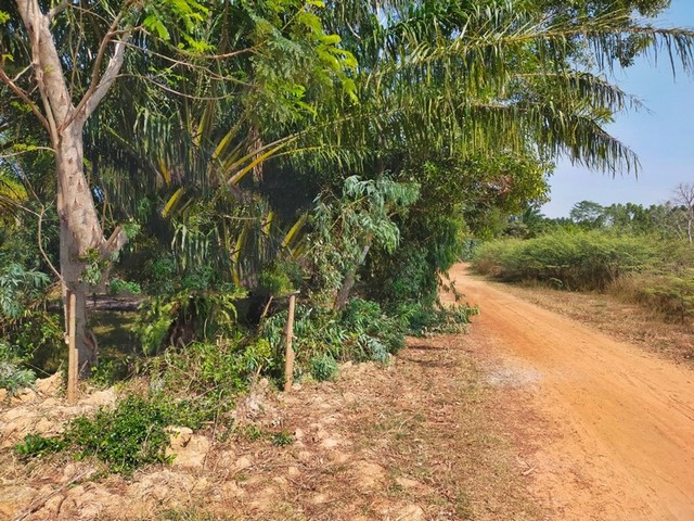 ประกาศฟรี! ซื้อ-ขาย-เช่า คอนโด บ้าน ทาวน์โฮม ที่ดิน และพื้นที่เชิงพาณิชย์ทั่วประเทศไทย ทุกทำเล ทุกงบประมาณ ไม่มีค่าใช้จ่าย ลงง่าย ขายไว เข้าถึงผู้ซื้อโดยตรง 5 252954pic4.jpg